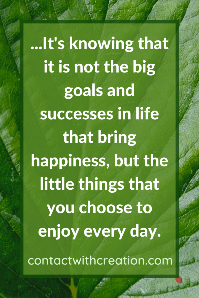 ...It's knowing that it is not the big goals and successes in life that bring happiness, but the little things that you choose to enjoy every day.