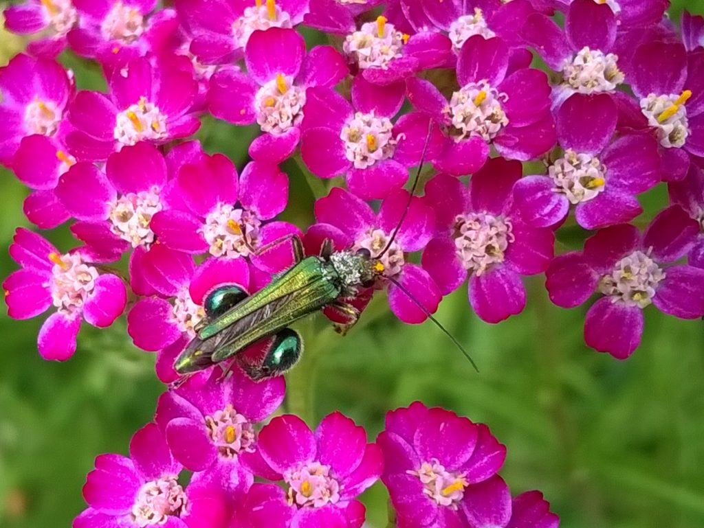 Contact with creation: go outdoors, be present, look closer, be amazed, give thanks