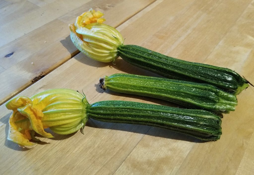 Little Joys: garden courgettes