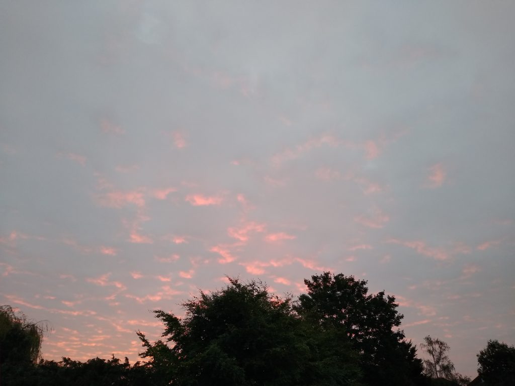 Little Joys: autumn means seeing the sun rise