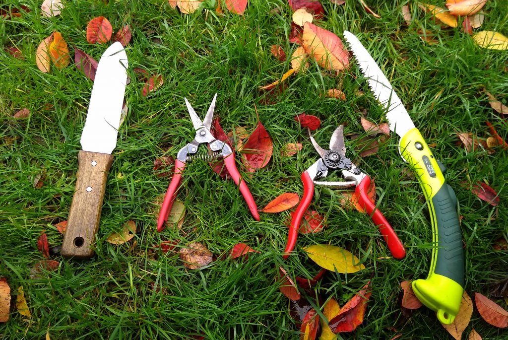 best garden tools