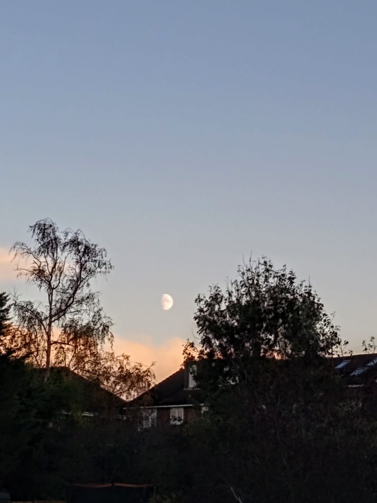 Little Joys: Low afternoon moon