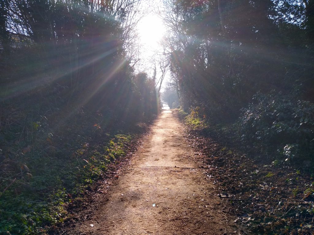 Little Joys: walking in nature on a beautiful morning