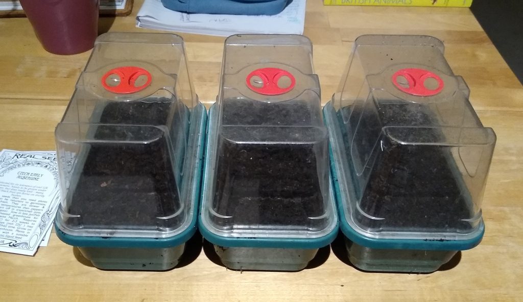Little Joys: sowing seeds for the food garden