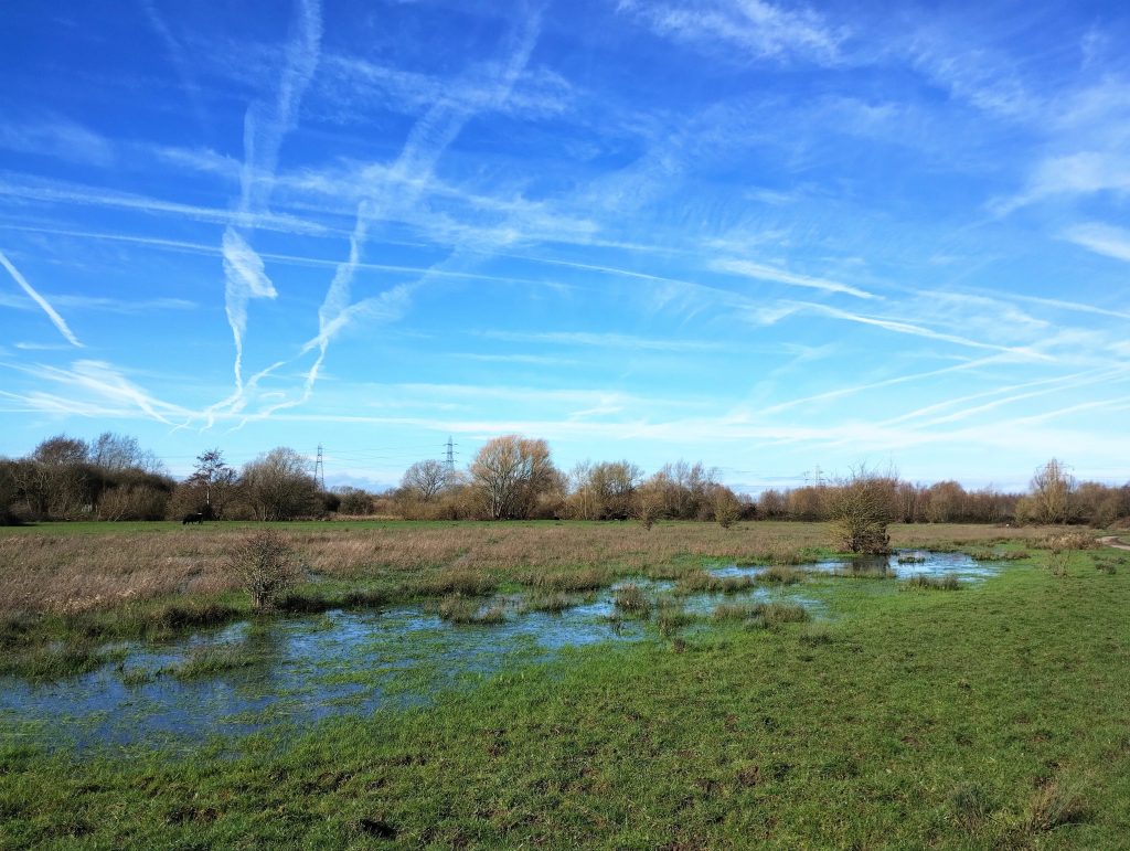 Photo: blue sky with contrails, over a green field which is waterlogged and reflects the sky in its puddles.