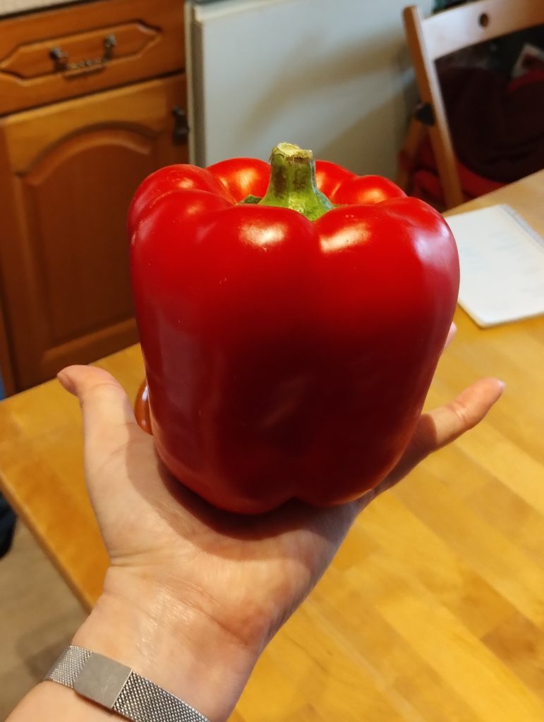 Photo: a gigantic red pepper on the palm of my hand.