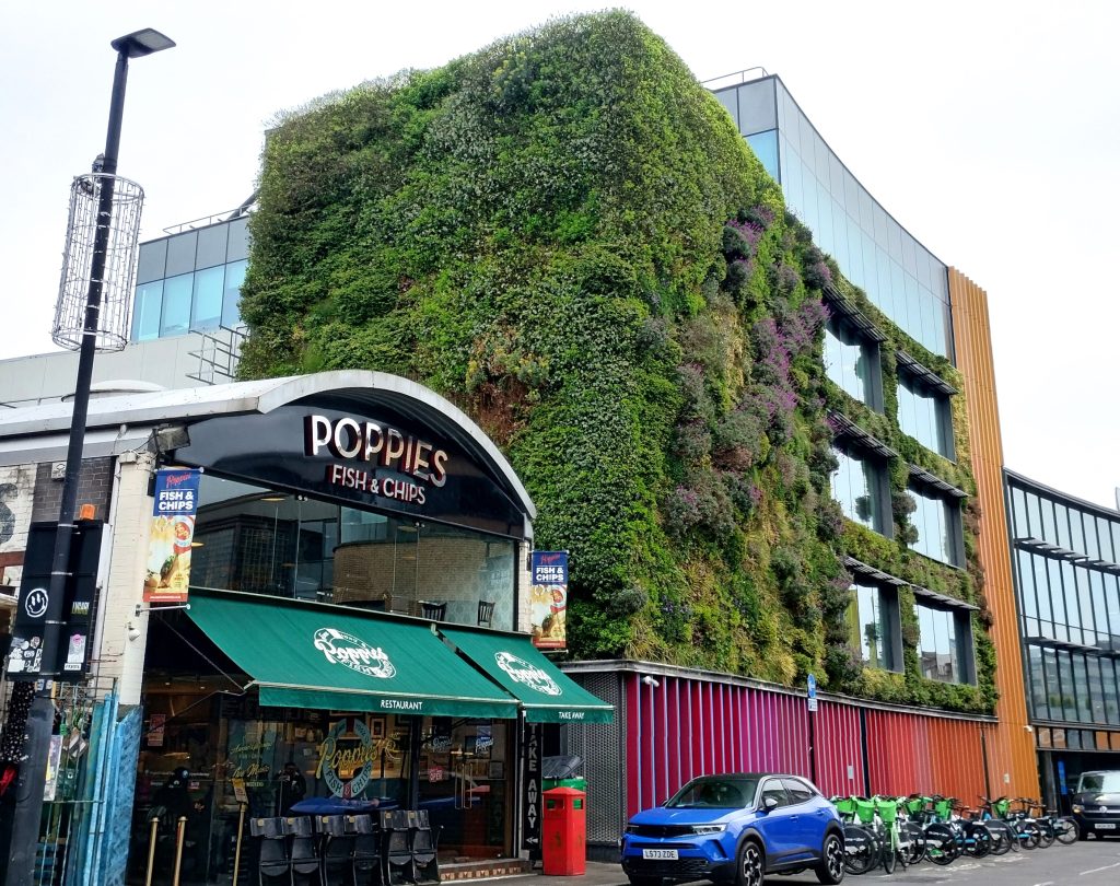 Photo of a lush living wall in Camden.